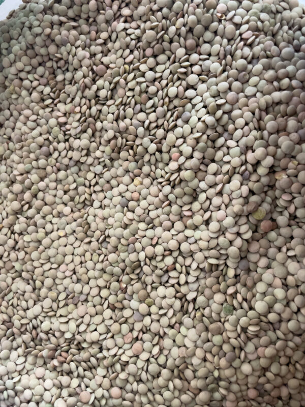 Green Lentils(kamande) 25kg bag